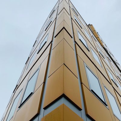 pexels-david-underland-3626129