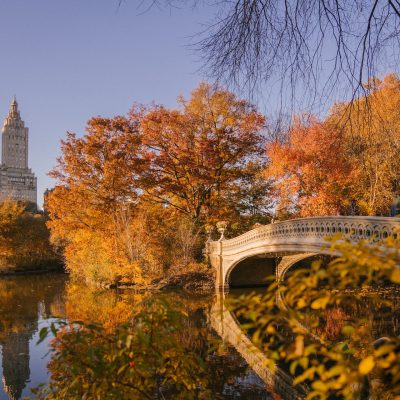 pexels-marta-wave-5876663